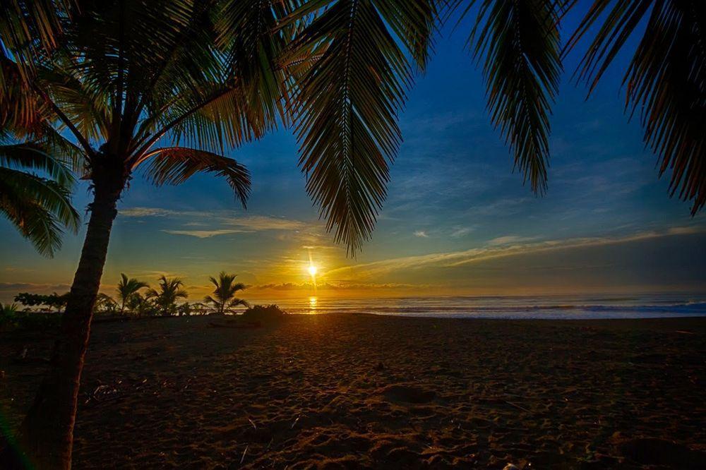 Iguana Lodge Beach Resort Puerto Jiménez Esterno foto